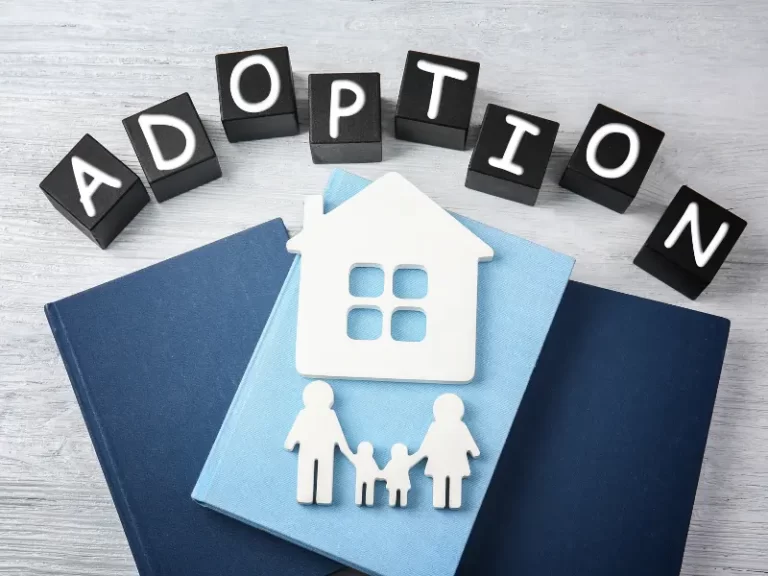 The Effects of Adoption on Inheritance Law